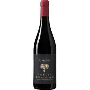 1 fles Antica Viti Amarone della Valpolicella