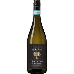 Antica Viti Pinot Grigio delle Venezie